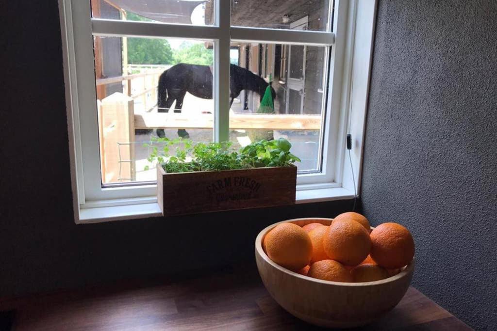 Luxe Natuurhuisje Met Jacuzzi En Haard In Drenthe, Echten Echten  Eksteriør billede