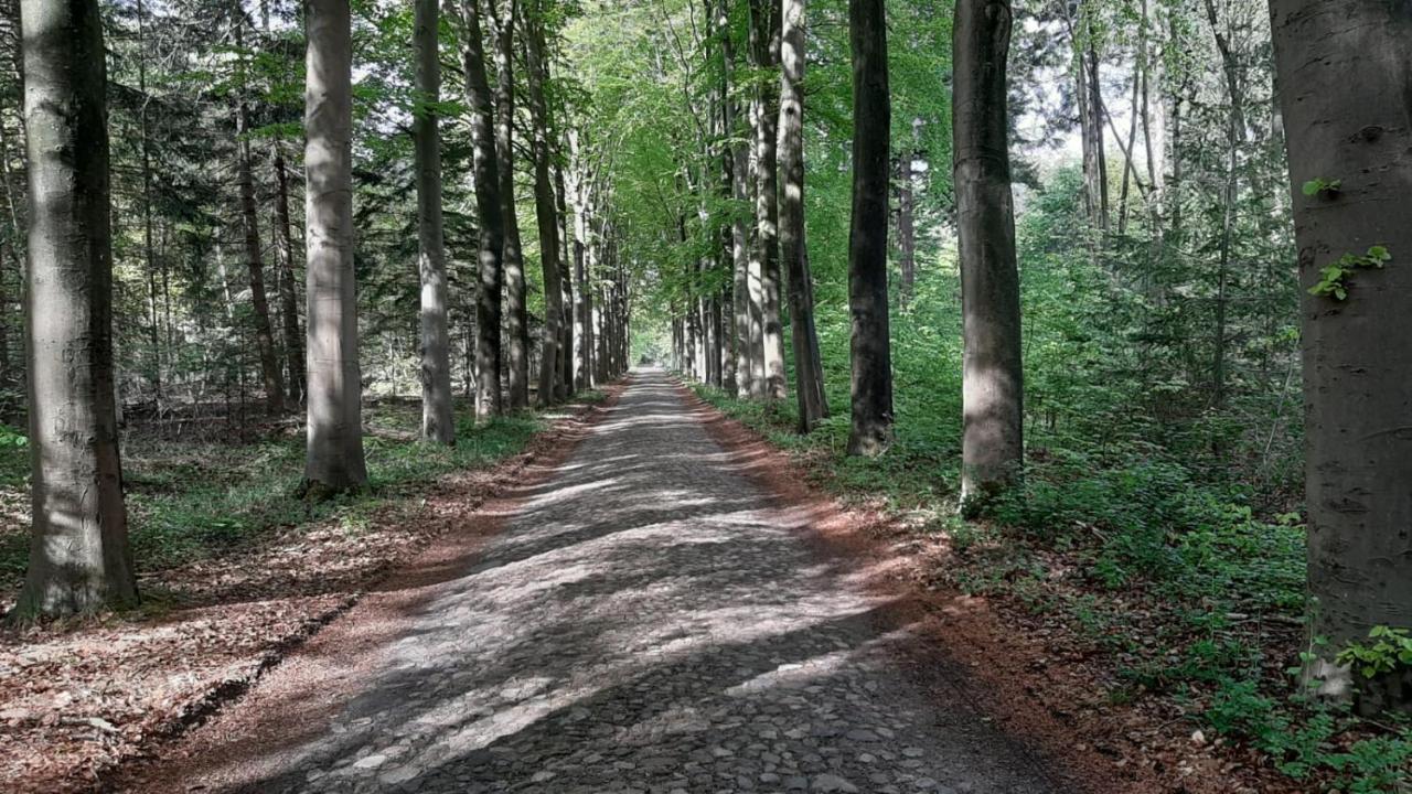 Luxe Natuurhuisje Met Jacuzzi En Haard In Drenthe, Echten Echten  Eksteriør billede