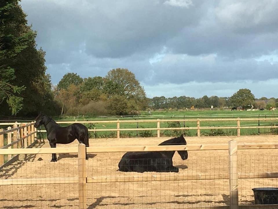 Luxe Natuurhuisje Met Jacuzzi En Haard In Drenthe, Echten Echten  Eksteriør billede