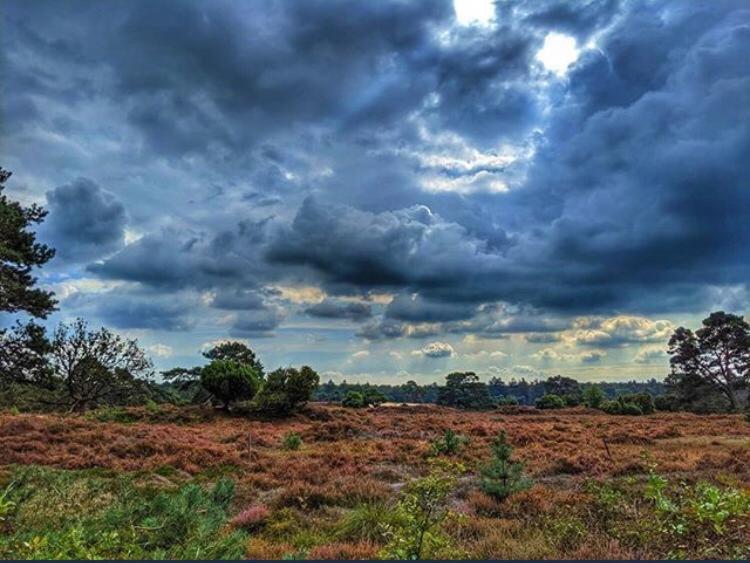 Luxe Natuurhuisje Met Jacuzzi En Haard In Drenthe, Echten Echten  Eksteriør billede