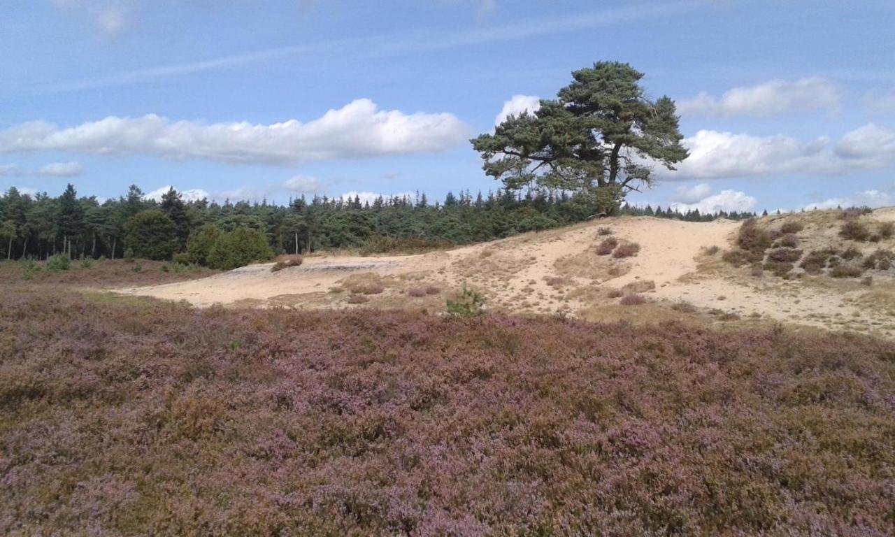 Luxe Natuurhuisje Met Jacuzzi En Haard In Drenthe, Echten Echten  Eksteriør billede