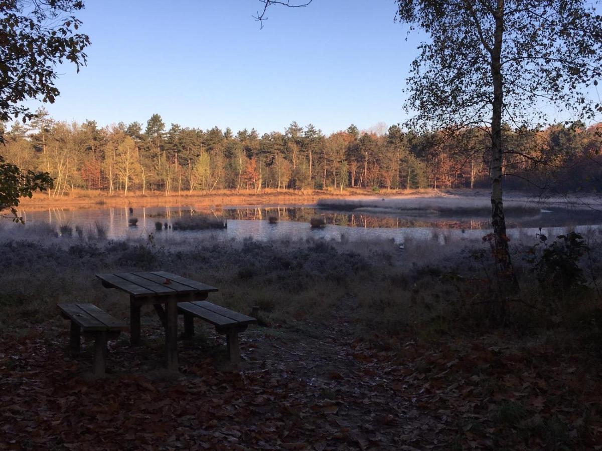 Luxe Natuurhuisje Met Jacuzzi En Haard In Drenthe, Echten Echten  Eksteriør billede