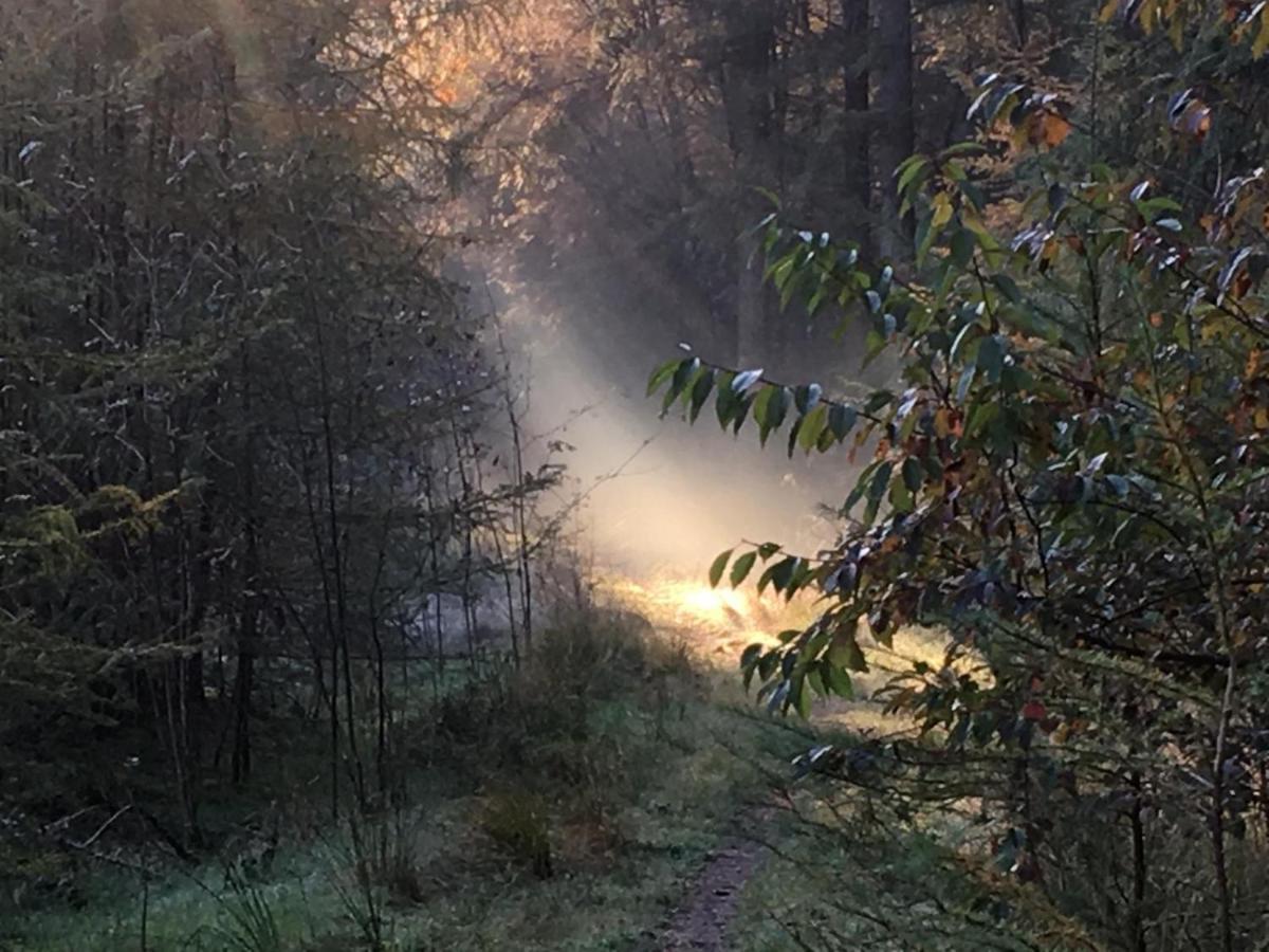 Luxe Natuurhuisje Met Jacuzzi En Haard In Drenthe, Echten Echten  Eksteriør billede