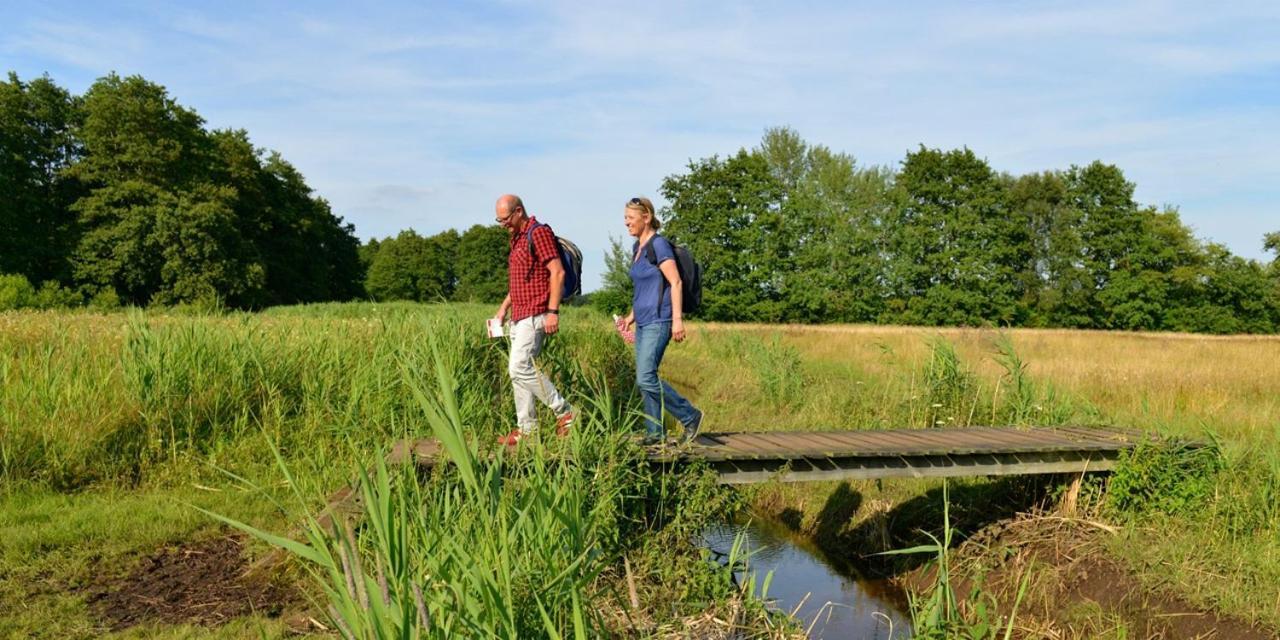 Luxe Natuurhuisje Met Jacuzzi En Haard In Drenthe, Echten Echten  Eksteriør billede