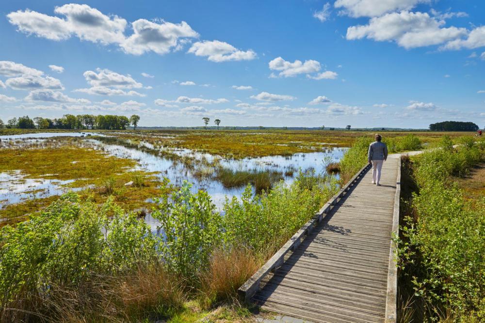 Luxe Natuurhuisje Met Jacuzzi En Haard In Drenthe, Echten Echten  Eksteriør billede