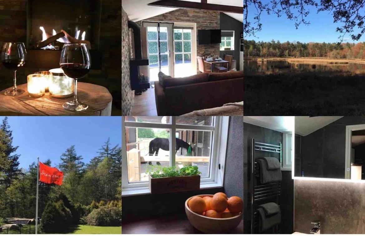 Luxe Natuurhuisje Met Jacuzzi En Haard In Drenthe, Echten Echten  Eksteriør billede
